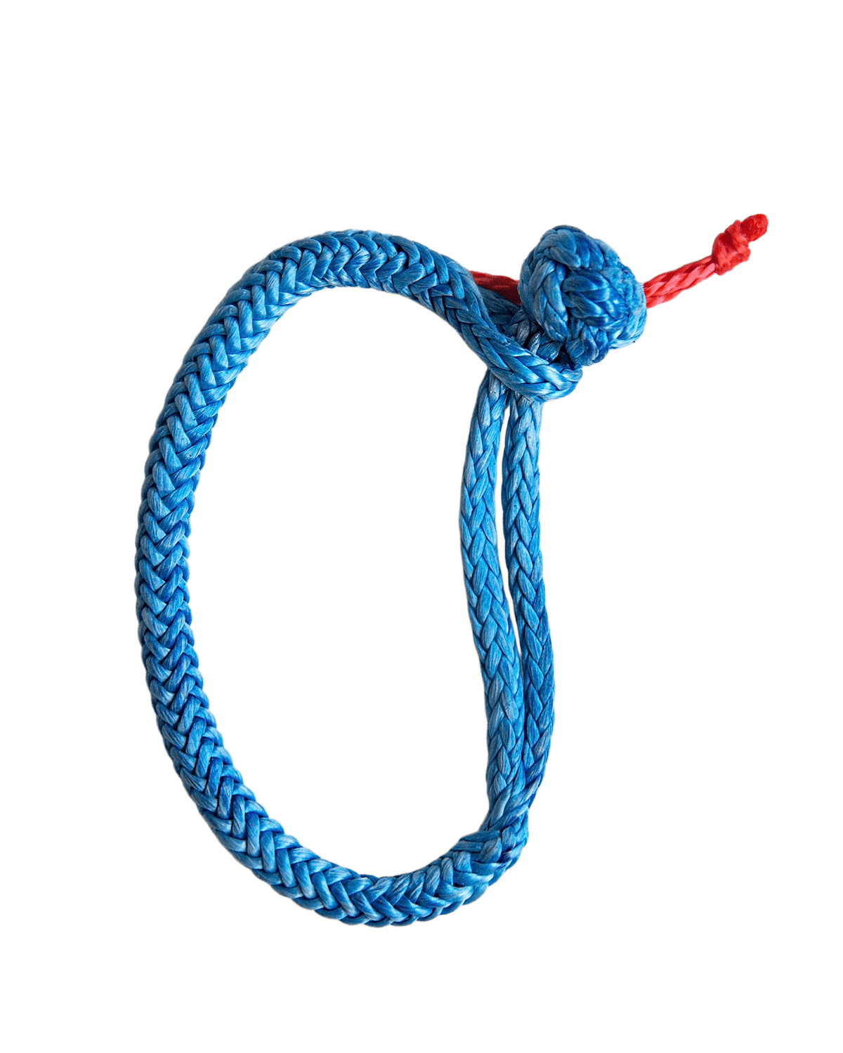 A blue rope loop tied with a red end against a gray background.
